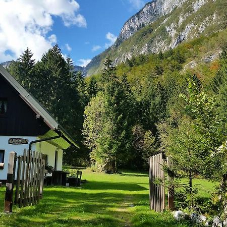 Pocitniska Hisa Ukanc Bohinj Eksteriør bilde
