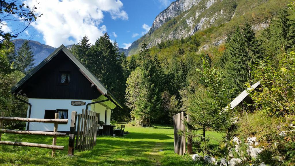 Pocitniska Hisa Ukanc Bohinj Eksteriør bilde
