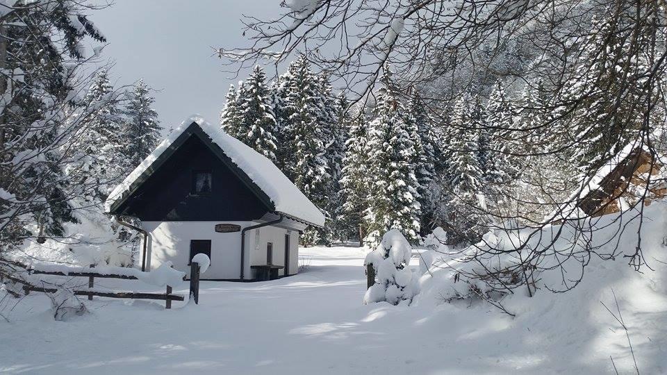 Pocitniska Hisa Ukanc Bohinj Eksteriør bilde